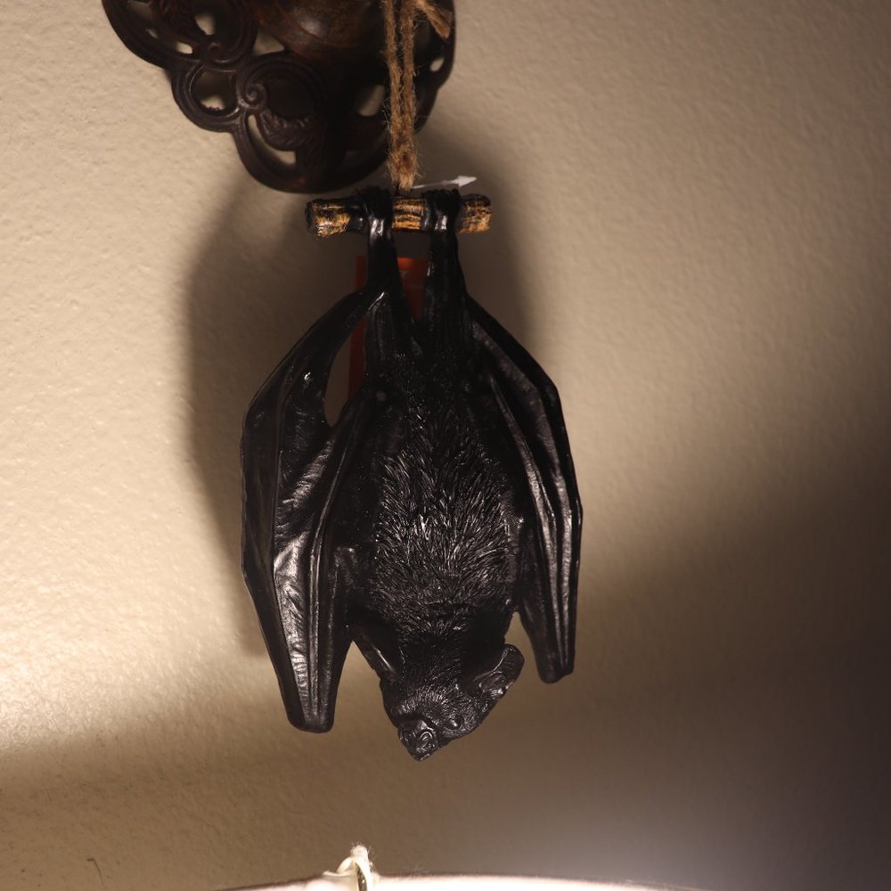 Hanging Bat